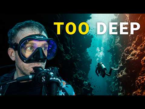 Txreemarie A Deeper Dive