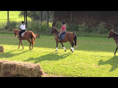 leona spectacol cornatel