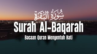 Download lagu SURAH AL BAQARAH - SETAN KABUR DARI RUMAH - PENENANG HATI DAN PIKIRAN - Ahmad Al Shalabi mp3 Download lagu SURAH AL BAQARAH - SETAN KABUR DARI RUMAH - PENENANG HATI DAN PIKIRAN - Ahmad Al Shalabi mp3
