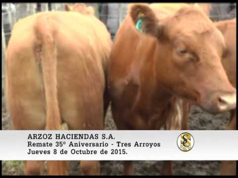 08-10-15 Ventas - Arzoz Haciendas S.A. - Tres Arroyos