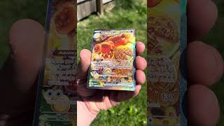 Stella Crown Dachsbun In The 3:15PM Sunlight! #pokemon #stellarcrown #dachsbun #pokemoncards #tcg