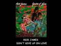 Rick James - Don't Give Up On Love 1980