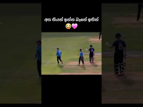 අත තියන් ඉන්න බෑලු 😂💗 #cricketlover #ytshorts #trend