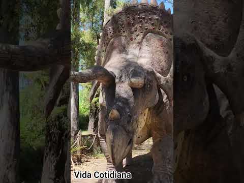 No sabía que había estos animales en Merlo