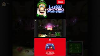 任天堂Switch２　ルイージマンション　Nintendo Switch Online ＋ 追加パック