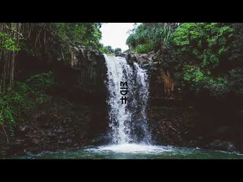 PALMFooD - Kuzaliwa (Original Mix)