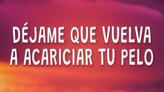 Dejame que vuelva a acariciar tu pelo - Pablo Alboran - Donde Está El Amor (Letra) ft. Jesse &amp; Joy