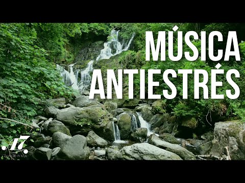 1 hora de música clásica de Mozart para relajarse y quitarse el estrés