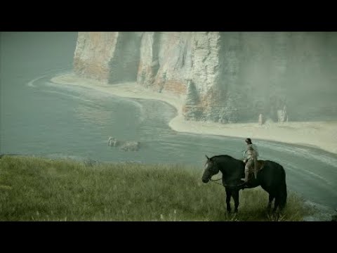 SHADOW OF THE COLOSSUS Highlights