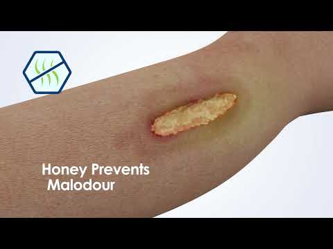 Activon 100% Medical Grade Manuka Honey. Mode of Action