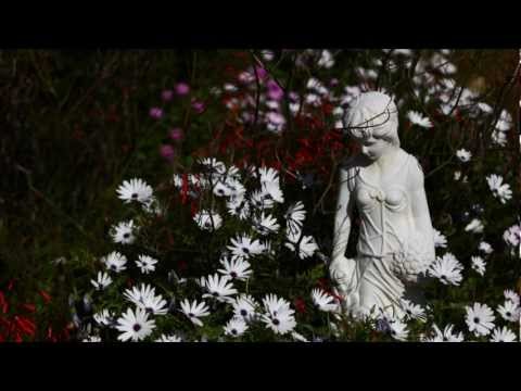 Thuru Wana Peth Thani Thalaa - තුරු වන පෙත් තැනි තලා