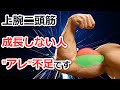 【腕トレ】科学的な上腕二頭筋の鍛え方