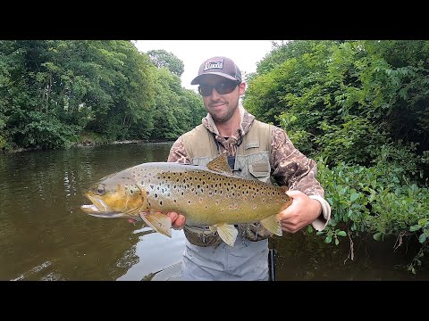 Fly Fishing for BIG TROUT!!!