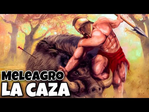 Atalanta y Meleagro: La caza del Jabalí de Calidón - Mitología Griega