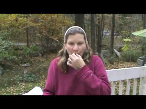 download lagu mp3 mp4 Yellow Barhi Dates For Sale, download lagu Yellow Barhi Dates For Sale gratis, unduh video klip Yellow Barhi Dates For Sale