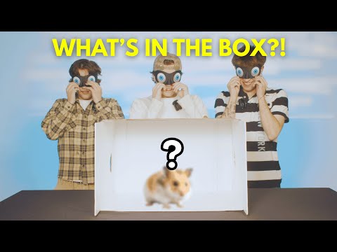Guessing What’s In A Box With No Idea What’s Inside