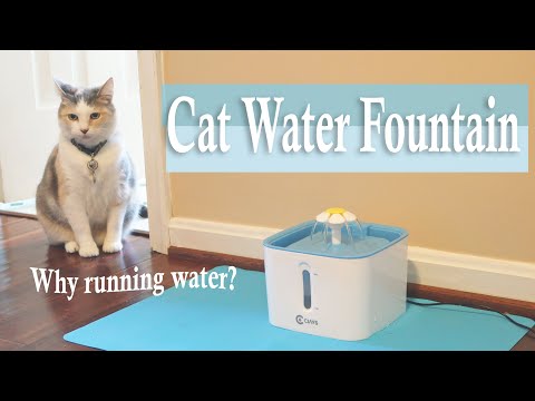Ciays Cat Water Fountain🐈Automatic Pet Drinking Review👈