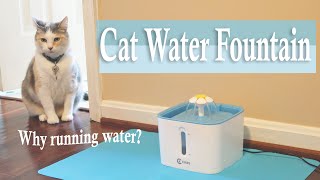 Ciays Cat Water Fountain🐈Automatic Pet Drinking Review👈