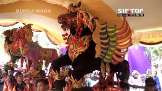 Download lagu WADON SELINGAN Voc. KIKI - Singa Dangdut BUNGA NADA Show Sukareja Banjarharjo 2 Desember 2019 mp3