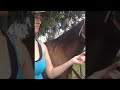 Horse Reacts to First Taste of Sugar Cubes || ViralHog