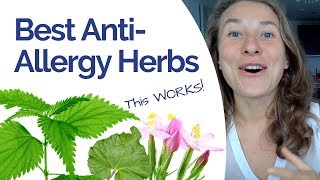 Best Herbs for Allergies (My Daily Healing Protocol)