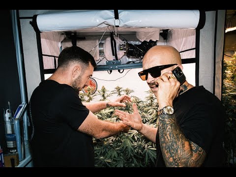 PLUSMACHER & BOTANIKKER - ANBAUEN ► (prod. Snares) (Official Video)