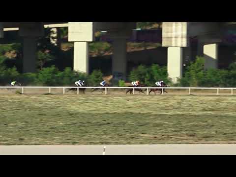 22.5.2022 VI Trka - TRIAL STAKES - Hipodrom Beograd
