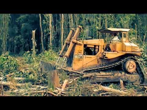 Killin the Planet - The Vines