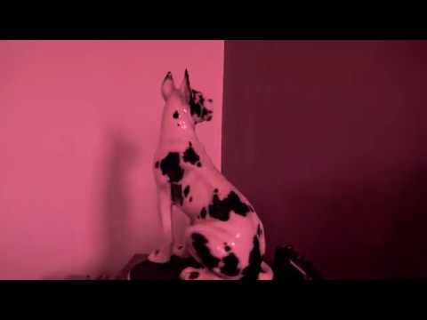 Roos Jonker & Dean Tippet - This One (Live in Dean's Living Room)