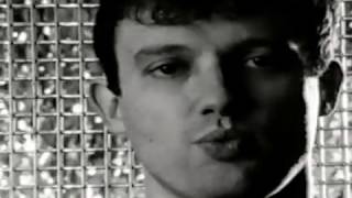 'Pink Carnations' by 'Animals That Swim'