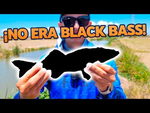 An Unexpected Catch Fishing for Black Bass | Shore Fishing