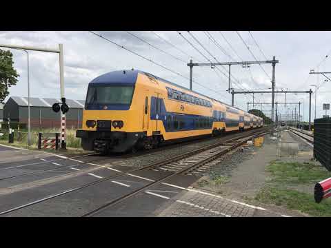 Seldom on mainline railroad Venlo-Eindhoven! DDZ Train NS ! At Sevenum ( Gekkengraaf) the NL 27.6.23