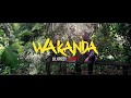 Deyyy Z Wakanda Feat Lil Drizzy 4K