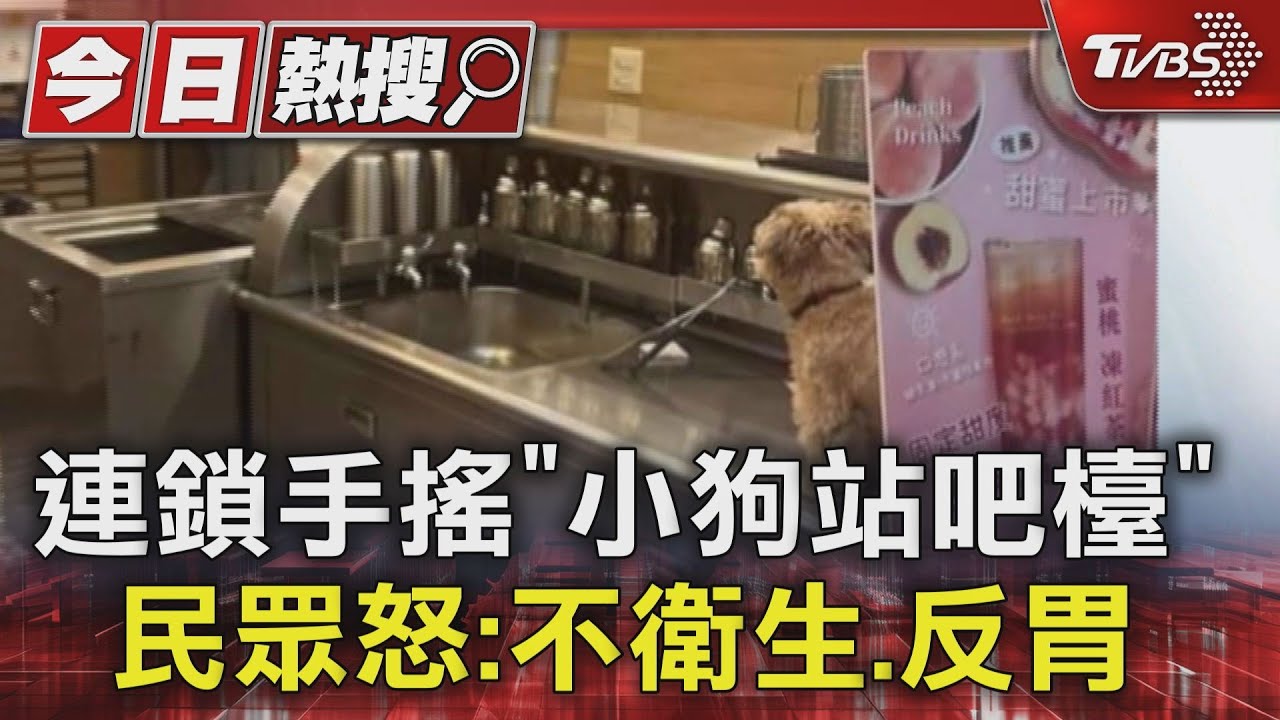 連鎖手搖「小狗站吧檯」! 民眾怒:不衛生、反胃