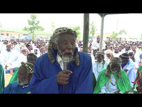 Rev Dlamini 20 November 2025