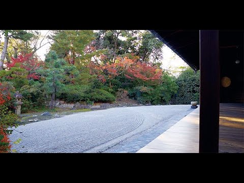 堺 The Movies【南宗寺】