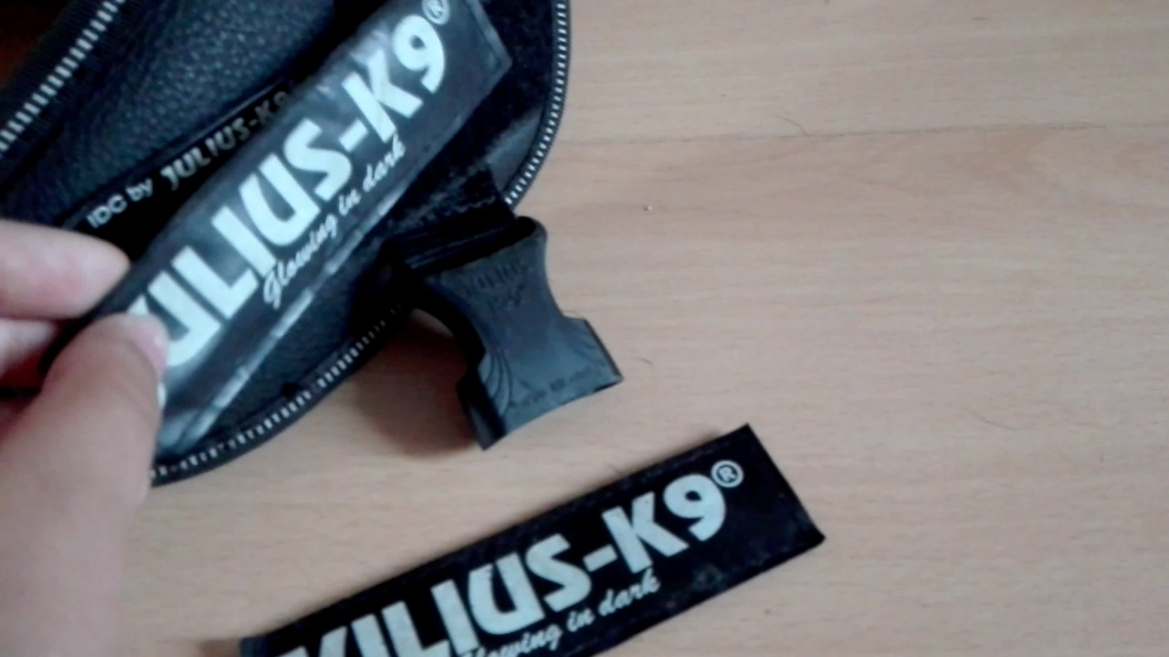 Jak się sprawują nowe szelki Gibiego