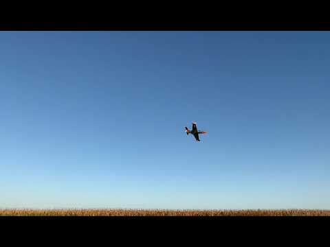 Rc Panther jet real turbine flyby