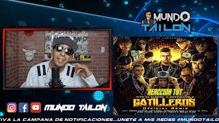 Gatilleros (Remix) - Cosculluela,Arcangel,Almighty,Ñengo,Farruko,Pusho,Kendo,Alexio - REACCION TBT