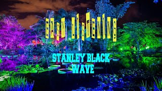STANLEY BLACK - WAVE