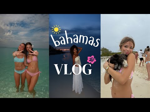 Wir waren auf den Bahamas und eine Krabbe war in unserem Haus