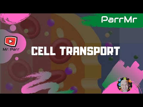 Cell Transport Song