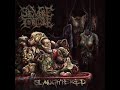 Severe Torture ‎: Grave Condition