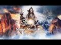 Mera Malik Hai Shivaay Krishna Chaturvedi Pankaj VRK
