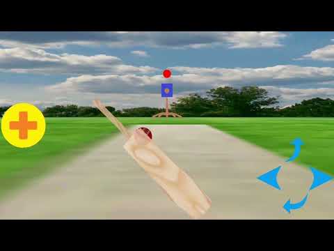 Combo:dodge & cricket ball