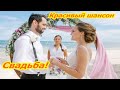 Александр Шеваловский Свадьба.avi 