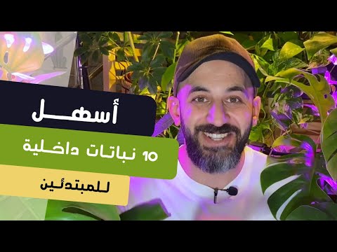 , title : 'أسهل ١٠ نباتات ظلية للتربية داخل المنزل Top 10 easiest indoor plants'