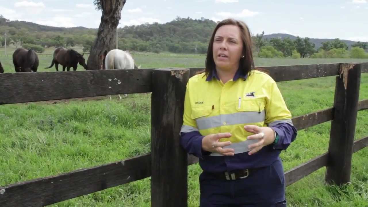 Land Use Facts: Exploration