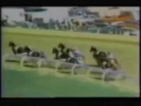 1986 Delaware County Fair MACK LOBELL Ohio Standardbred 2YO C&G Trot