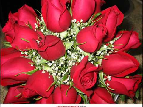 Uśmiechnij się mamo-Waldemar Kocoń.wmv